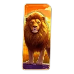 Lion
Safari